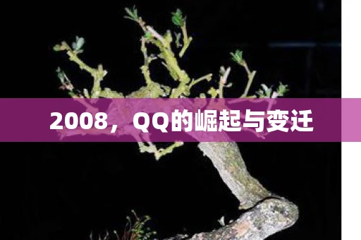 2008，QQ的崛起与变迁