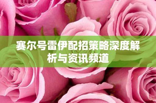 赛尔号雷伊配招策略深度解析与资讯频道图片