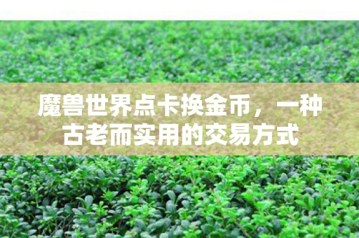 魔兽世界点卡换金币，一种古老而实用的交易方式
