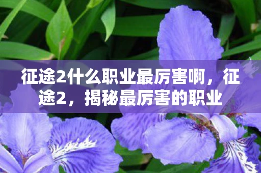 征途2什么职业最厉害啊，征途2，揭秘最厉害的职业