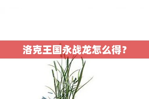 洛克王国永战龙怎么得？