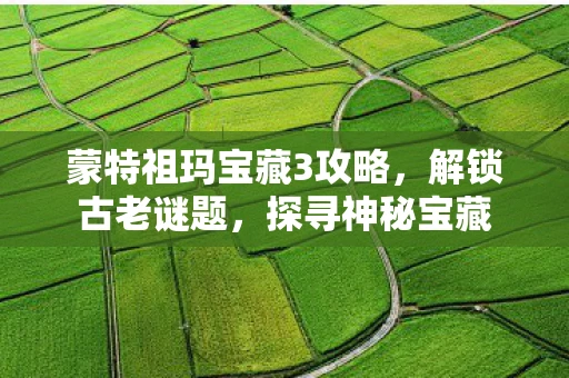 蒙特祖玛宝藏3攻略，解锁古老谜题，探寻神秘宝藏