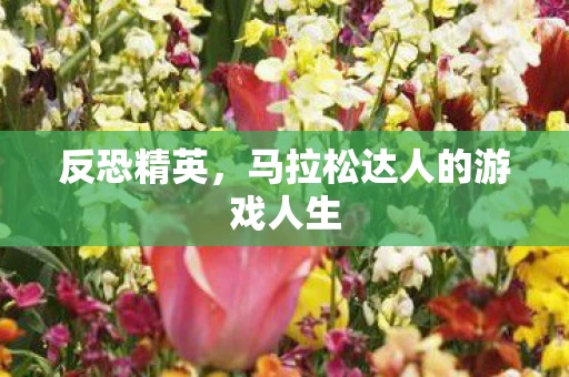 反恐精英，马拉松达人的游戏人生