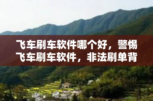 飞车刷车软件哪个好，警惕飞车刷车软件，非法刷单背后的风险与警示