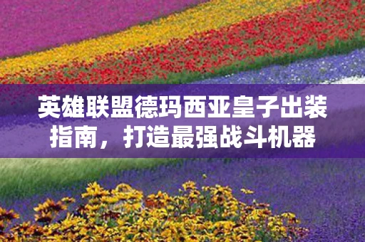 英雄联盟德玛西亚皇子出装指南，打造最强战斗机器