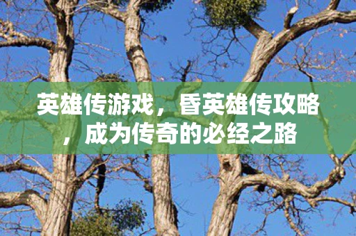 英雄传游戏，昏英雄传攻略，成为传奇的必经之路