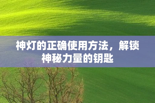 神灯的正确使用方法，解锁神秘力量的钥匙