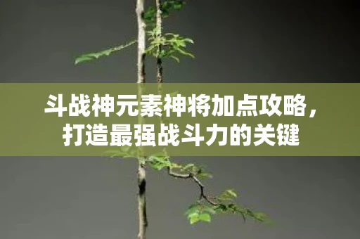 斗战神元素神将加点攻略，打造最强战斗力的关键