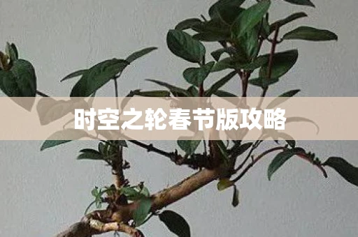 时空之轮春节版攻略