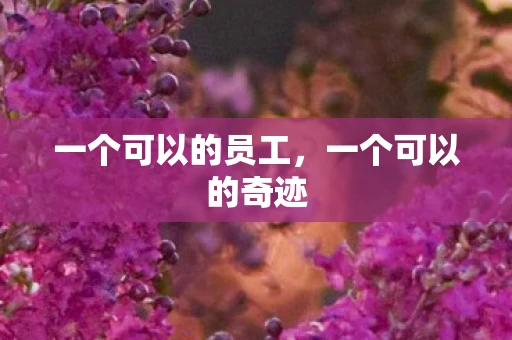 一个可以的员工，一个可以的奇迹