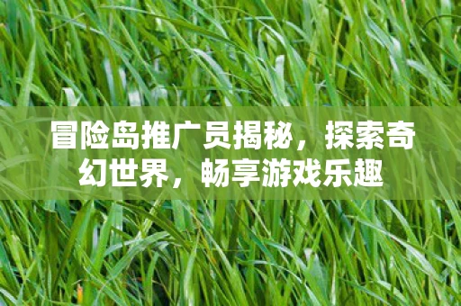 冒险岛推广员揭秘图片