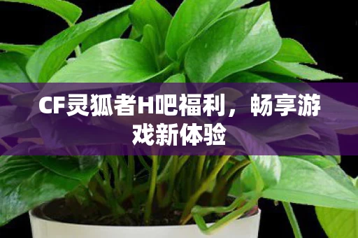 CF灵狐者H吧福利图片