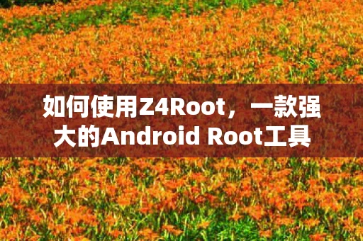 如何使用Z4Root，一款强大的Android Root工具