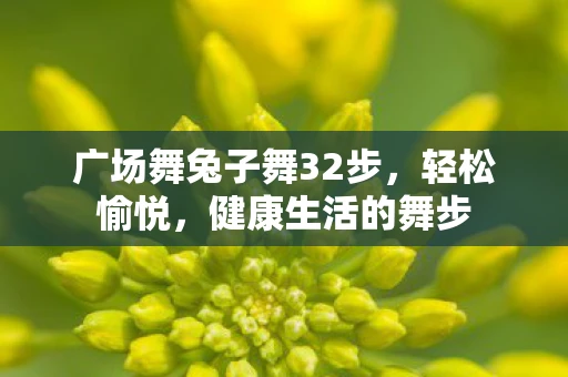 广场舞兔子舞32步，轻松愉悦，健康生活的舞步