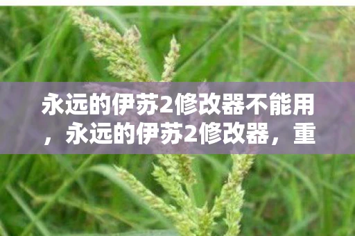 永远的伊苏2修改器不能用，永远的伊苏2修改器，重温经典，解锁无限可能