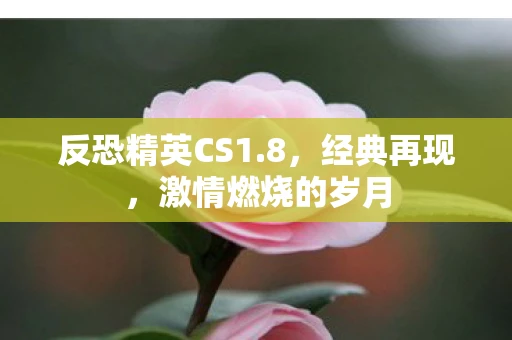 反恐精英CS1.8，经典再现，激情燃烧的岁月