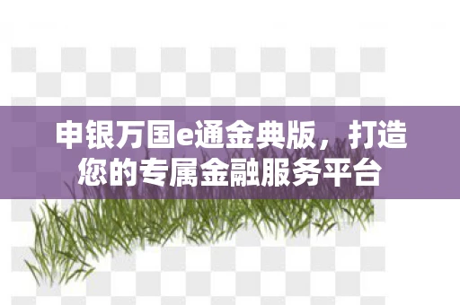 申银万国e通金典版，打造您的专属金融服务平台