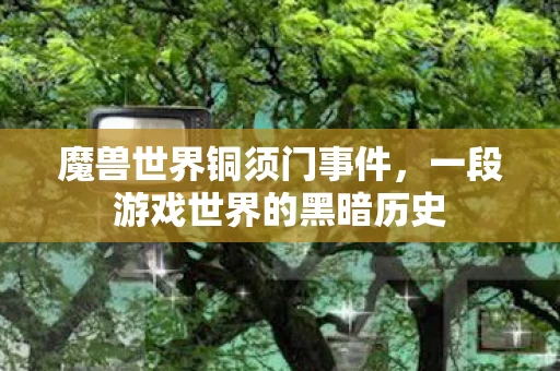 一段游戏世界的黑暗历史图片