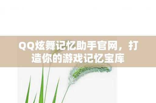 QQ炫舞记忆助手官网，打造你的游戏记忆宝库