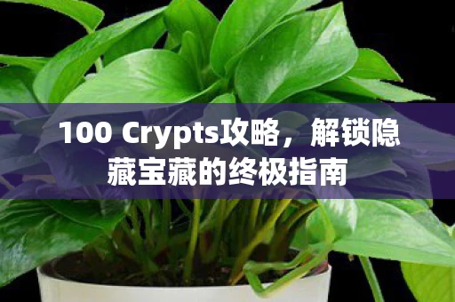 100 Crypts攻略，解锁隐藏宝藏的终极指南