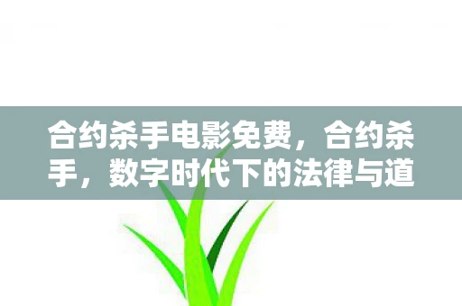 合约杀手电影免费，合约杀手，数字时代下的法律与道德边界