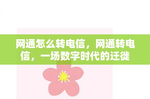 网通怎么转电信，网通转电信，一场数字时代的迁徙