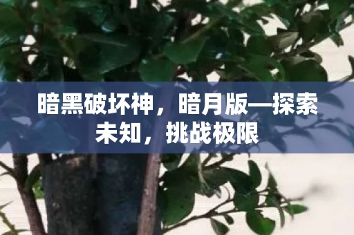 暗黑破坏神，暗月版—探索未知，挑战极限