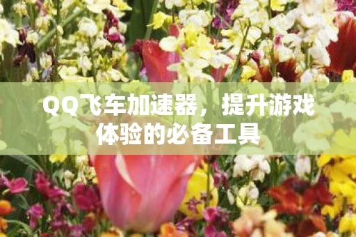 QQ飞车加速器，提升游戏体验的必备工具