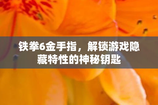 铁拳6金手指，解锁游戏隐藏特性的神秘钥匙