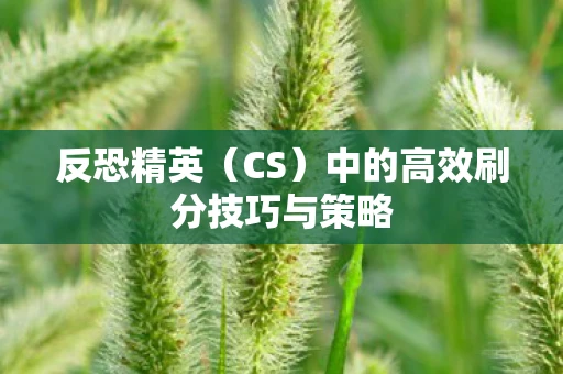 反恐精英（CS）中的高效刷分技巧与策略