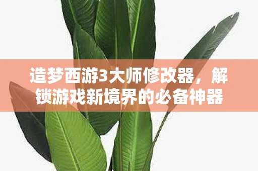 造梦西游3大师修改器，解锁游戏新境界的必备神器