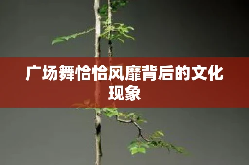 广场舞恰恰风靡背后的文化现象