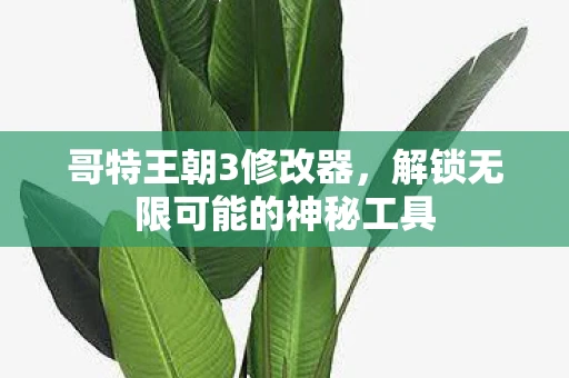 哥特王朝3修改器，解锁无限可能的神秘工具