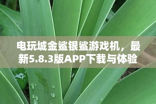 电玩城金鲨银鲨游戏机图片