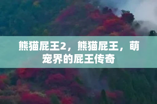 熊猫屁王2，熊猫屁王，萌宠界的屁王传奇