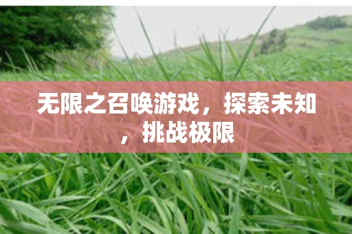无限之召唤游戏，探索未知，挑战极限