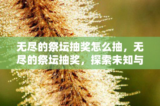 无尽的祭坛抽奖怎么抽，无尽的祭坛抽奖，探索未知与惊喜的冒险之旅