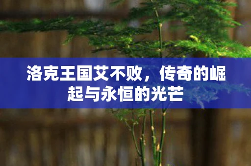 洛克王国艾不败，传奇的崛起与永恒的光芒