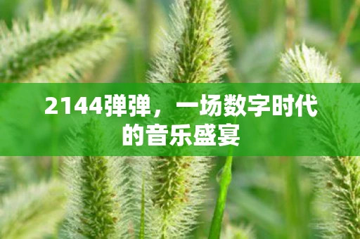 2144弹弹，一场数字时代的音乐盛宴
