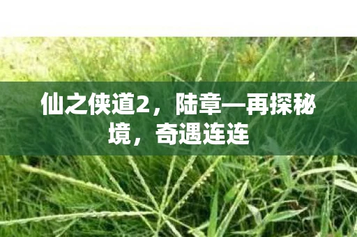 仙之侠道2，陆章—再探秘境，奇遇连连