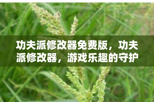功夫派修改器免费版，功夫派修改器，游戏乐趣的守护者还是破坏者？