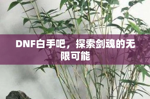 DNF白手吧，探索剑魂的无限可能