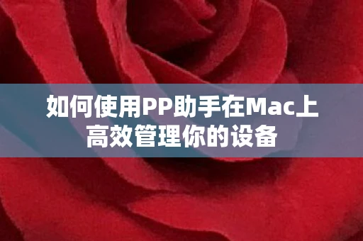 如何使用PP助手在Mac上高效管理你的设备