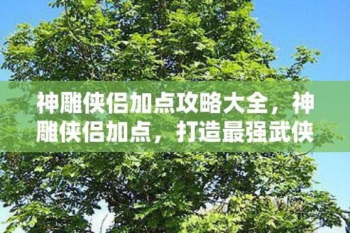 神雕侠侣加点攻略大全，神雕侠侣加点，打造最强武侠角色