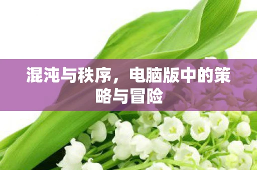 混沌与秩序，电脑版中的策略与冒险