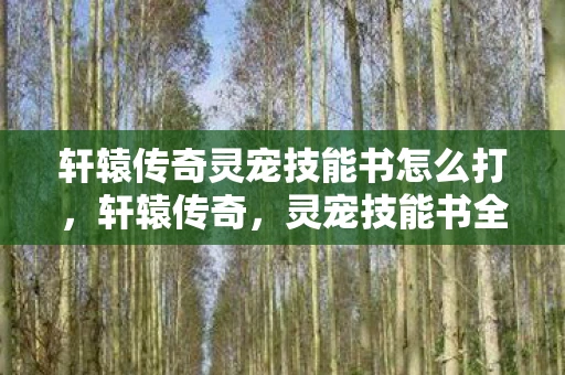 轩辕传奇灵宠技能书怎么打，轩辕传奇，灵宠技能书全解析