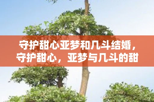 守护甜心亚梦和几斗结婚，守护甜心，亚梦与几斗的甜蜜羁绊