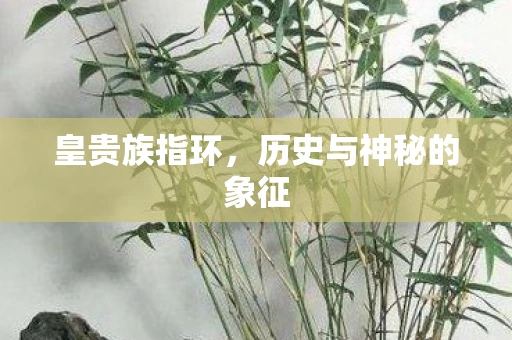 皇贵族指环，历史与神秘的象征