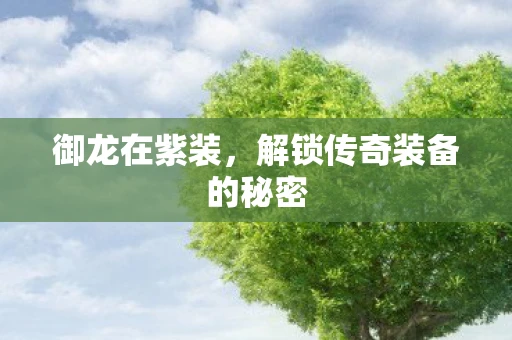 御龙在紫装，解锁传奇装备的秘密