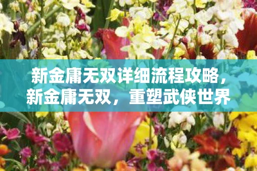 新金庸无双详细流程攻略，新金庸无双，重塑武侠世界的传奇